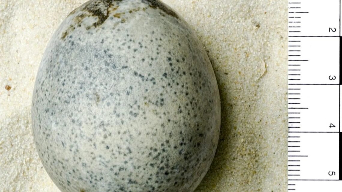 IMG 20240215 193051 567