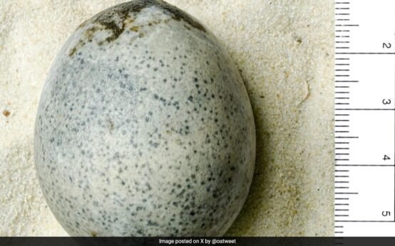 IMG 20240215 193051 567