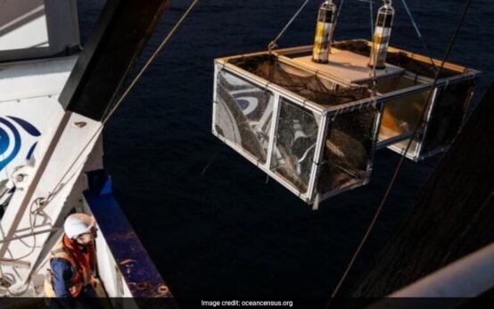 IMG 20240312 192156 924